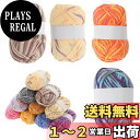【送料無料】CAPASTEC 毛糸 60%コッ トン40%アクリル 50g±2g (約160m) 柔らかい 2本セット 編み物セット 段染風 クリス マスプレゼ...