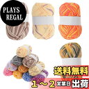【送料無料】CAPASTEC 毛糸 60%コッ トン40%アクリル 50g±2g (約160m) 柔らかい 2本セット 編み物セット 段染風 クリス マスプレゼ...