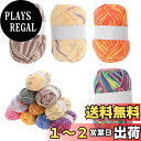 【送料無料】CAPASTEC 毛糸 60%コッ トン40%アクリル 50g±2g (約160m) 柔らかい 2本セット 編み物セット 段染風 クリス マスプレゼ...