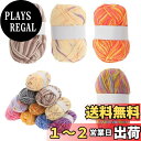 【送料無料】CAPASTEC 毛糸 60%コッ トン40%アクリル 50g±2g (約160m) 柔らかい 2本セット 編み物セット 段染風 クリス マスプレゼ...