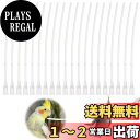 【送料無料】EsiFare 20本 ひな鳥用給餌ホース 鳥 えさ入れ ペット用シリンジ 水飲み鳥 鳥用給餌ホース 鳥 餌入れ インコ 餌入れ 鳥の餌やり ペット...