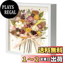 【送料無料】Telarana 額縁 立体額 ボックスフレーム フォトフレーム 色紙 壁掛け 卓上 お祝い ホワイト 「外径 276 x 276 x 45 MM ...