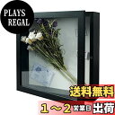 【送料無料】Telarana 額縁 写真立て フォトフレーム 標本箱 シャドウボックス 立体額 ボックスフレーム ポスターフレーム パネルフレーム マグネット付...