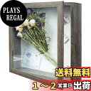 【送料無料】Telarana 額縁 写真立て 標本箱 シャドウボックス 立体額 ボックスフレーム マグネット付き グレー「外径294 x294 x74 MM 内...