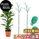 【送料無料】TVETE 植物サポート 園芸支柱 観葉植物用支柱 100cm プラントスタンド フラワーサポート 2点セット グリーン