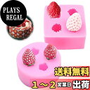 【送料無料】TVETE シリコンモールド いちご シリコン型 フルーツ 【2個セット】レジン モールド 型 3D 立体 苺 イチゴ シリコン 型 果物 ミニチュアフード デコパーツ チョコレートモールド ケーキデコレーション DIY 手作り 樹脂 石膏 キャンドル アロマストーン 石鹸