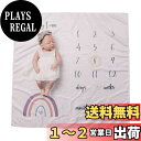 【送料無料】Promise Babe 寝相アート 月齢フォト マイルストーン 撮影シーツ 虹 写真道具 成長記録 ブランケット 赤ちゃん 出産祝い ギフト プレ...