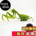 【送料無料】カマキリ ラジコン Mantis Radio Controlled
