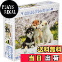 【送料無料】300ピース ジグソーパズル なかよしフレンズ(柴犬) (26x38cm)