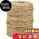 【送料無料】Tenn Well 4mm 太い 麻ロープ, 50M 麻縄キャットタワーの補修 ジュート 麻紐 園芸 梱包 手作り 猫爪とぎ修理などに (茶色)