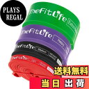 【送料無料】TheFitLife トレーニングチューブ 筋トレチューブ 懸垂チューブ (赤/黒/紫/緑)