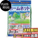 【送料無料】ダイオ化成(Daio Kasei) ホームネット緑 2×2M