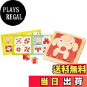 【送料無料】脳活キューブ