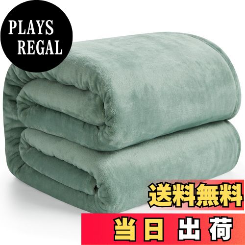 【送料無料】Hansleep 毛布 セミダブル 冬用 ブランケット もうふ 160x200cm マイクロファイバー 柔ら..