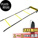 【送料無料】Sutekus ハードルトレーニング ラダー 整理簡単 面倒なセット要らない 複数接続可能 スポーツ 野球 サッカー 練習用具 収納袋付き (イェロー(5.1m12枚))
