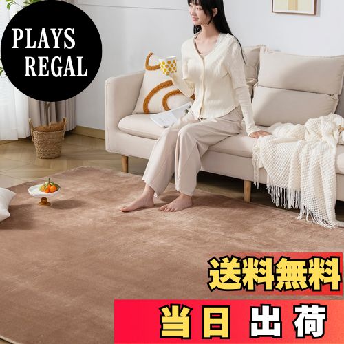 【送料無料】Keusnix ラグ カーペット 低反発 ラグマット 極厚25mm 絨毯 厚手 135x185cm 約1.5畳 滑り止め付 抗菌・防ダニ加工 オールシーズン快適 リビングマット ふわっと手触り じゅうたん こたつマット 床暖房・ホットカーペット対応 モカ