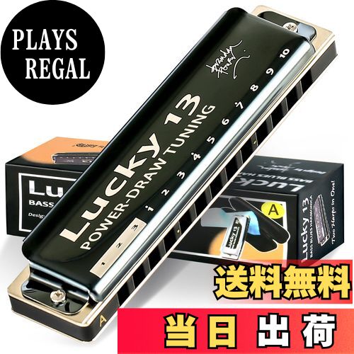 ̵East top ϡ˥ ֥롼ϡ˥ 13ۡ A 㥺  Ҷ ٶ  﫥С Х Luck...