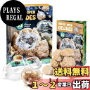 【送料無料】XXTOYS クリスタルジオード 水晶ジオード クリスマス プレゼント クラッキング 自分で割る 鉱石発掘 晶洞 geode 天然石 10個セット