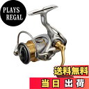 【送料無料】ダイワ(DAIWA) スピニング 21 フリームス FC LT2000S-XH