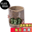 【送料無料】NUOLUX 植木鉢 園芸ラック 可愛い 多肉植物 サボテン 鉢 蛙 クリエイティブ カエル ミ二植木 プランター 動物セット 家装飾 プレゼント ...