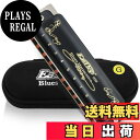 【送料無料】East top ハーモニカ ブルースハーモニカ 10穴ハーモニカ G調 10ホール20トーン 真鍮カバー キャンバスケース 清潔布 専門家 ダイアトニックハーモニカ(T008K-BK-G-gm)