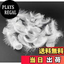 【送料無料】Kingsie 天然 羽根 100枚セット フェザーシャワー 羽シャワー 手芸素材 結婚式 ウエディング 演出 (ホワイト)