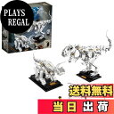 【送料無料】レゴ(LEGO) アイデア 恐竜の化石 21320