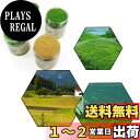 【送料無料】人工芝生パウダー モデル草 5mm 情景コレクション グラス模型 建物モデル 装飾 風景 箱庭 鉄道模型 ジオラマ DIY