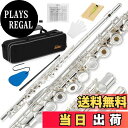 【送料無料】Eastar フルート 銀メッキ 16穴 リングキー Eメカ付き オフセット フルートスタンド&専門ケース 初心者セット (銀色)