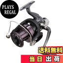 【送料無料】ダイワ(DAIWA) スピニングリール(投げ・遠投) 17 クロスキャスト 6000(2017モデル)
