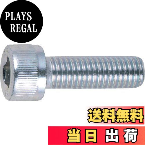 【送料無料】TRUSCO(トラスコ) 六角穴付ボルト三価 白 全ネジ M6×10 23本入 B730-0610