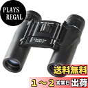 Kenko 双眼鏡 V-TEX 10×25 DH ダハプリズム式 10倍 25口径 2軸式 VT-1025D