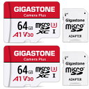 Gigastone マイクロSDカード 64GB 2個セット フルHD 2 SDアダプタ付き 2 ミニ収納ケース付き SDXC U3 Class 10 95MB...