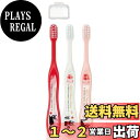 スケーター (skater) 歯ブラシ 園児用 3-5才 やわらかめ 3本入 魔女の宅急便 14cm TB5ST