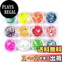 YFFSFDC クラッシュ ホログラム 12色セット ネオンフレーク 素材 手芸 レジン 封入 パーツ ネイルアート ラメフィルム