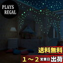 【送料無料】GLOWZEN 蓄光シール ウォールステッカー 蓄光星+丸型 942個セット 装飾屋内の夜間安全対策