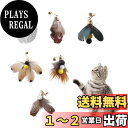 BTtime 猫 おもちゃ 6点セット 羽のおもちゃ 昆虫 蝶々 大飛ぶ虫 猫じゃらし 交換用おもちゃ 猫遊び用品