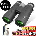 UBeesize 双眼鏡 10倍42x12 HD高倍率 42mm口径【視覚体験へのこだわり】防振 Bak4搭載 FMC 本格的 高透過率 ライブ/コンサート/野鳥観賞/オーペア/観劇/スポーツ観戦/天体観測/登山など適用 酔いにくい 大口径 広角 ブラック