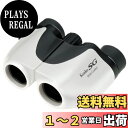 ケンコー(Kenko) コンパクト双眼鏡 SG-Mコンパクト 8×20 8倍 20口径 ポロプリズム式 マルチコーティング 超軽量149g コンサート・ライブ・アウトドア用 ホワイト 012833
