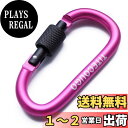 TITECOUGO アウトドア カラビナ おしゃれ 登山 小型 アルミ Dフック 頑丈 ネジロック バンジーコード ブランコ hammocks テント ?キャンプ 用品 キーホルダー 釣り ハイキング ペット karabina ピンク 2個