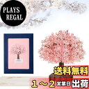 Kesote メッセージカード 桜 立体カード ポップアップカード バレンタイン 卒業 さくら おしゃれ 封筒付き