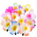 Frcolor お花 ヘアピン ヘアクリップ 花 プルメリア花 ヘアアクセサリー ヘアクリップ ハワイ 髪飾り ヘッドドレス 6cm 12色 24個セット