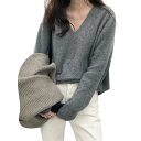 【送料無料】 セーター レディース ニット Vネック リブニット 長袖 トップス きれいめ 柔らか 高伸縮 大きいサイズ ゆったり 通勤 無地 シンプル ベースセーター 着痩せ プルオーバー カットソー オフィス 春秋冬 3色展開 色:グレー、サイズ:Free Size