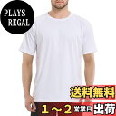 【送料無料】 ラッシュガード メンズ 半袖 ゆったり 水着 体型カバー 大きいサイズ ドライtシャツ 水陸両用 冷感 日焼け予防 吸汗速乾 3010 色:ホワイト、サイズ:XL