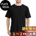 【送料無料】 ラッシュガード メンズ 半袖 ゆったり 水着 体型カバー 大きいサイズ ドライtシャツ 水陸両用 冷感 日焼け予防 吸汗速乾 3010 色:ブラック、サイズ:L