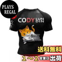 【送料無料】 コンプレッション 半袖 メンズ ジム 筋トレ Tシャツ プリント柄 インナー パワーストレッチ アンダー シャツ 吸汗 速乾 通気 ショートスリーブ フィットネス トレーニングウェア 上着 色:ブラック(ネコ匹)、サイズ:2XL