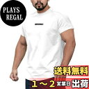 【送料無料】 ジムTシャツ 筋トレ メンズ トレーニングウェア 半袖 細身 フィットネス ショートスリーブ ストレッチ アクティブ Tシャツ 吸汗 速干 伸縮 通気性 無地 色:ホワイト、サイズ:3XL