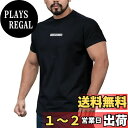 【送料無料】 ジムTシャツ 筋トレ メンズ トレーニングウェア 半袖 細身 フィットネス ショートスリーブ ストレッチ アクティブ Tシャツ 吸汗 速干 伸縮 通気性 無地 色:ブラック、サイズ:2XL