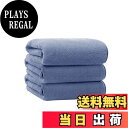 【送料無料】DPEANバスタオル マイクロファイバー ホテル仕様 70*140cm 大判 肌触りが良い ふわふわ 速乾 瞬間吸水 毛羽落ちしにくい 耐久性 厚手 無地 ギフト 色:ブルー、サイズ:3枚組/バスタオル