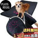 【送料無料】POOKIE 犬 タオル 猫 ペット用 体拭き バスタオル タオルケット 手入れポケット 大判 超吸水 速乾 拭きあげ時短 ふわふわ マイクロ ファイバー アウトドア 2枚 セット 色:ブラック、サイズ:ワンサイズ